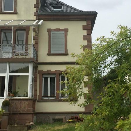 Apartamento L'Aromeantic Rothau Exterior foto