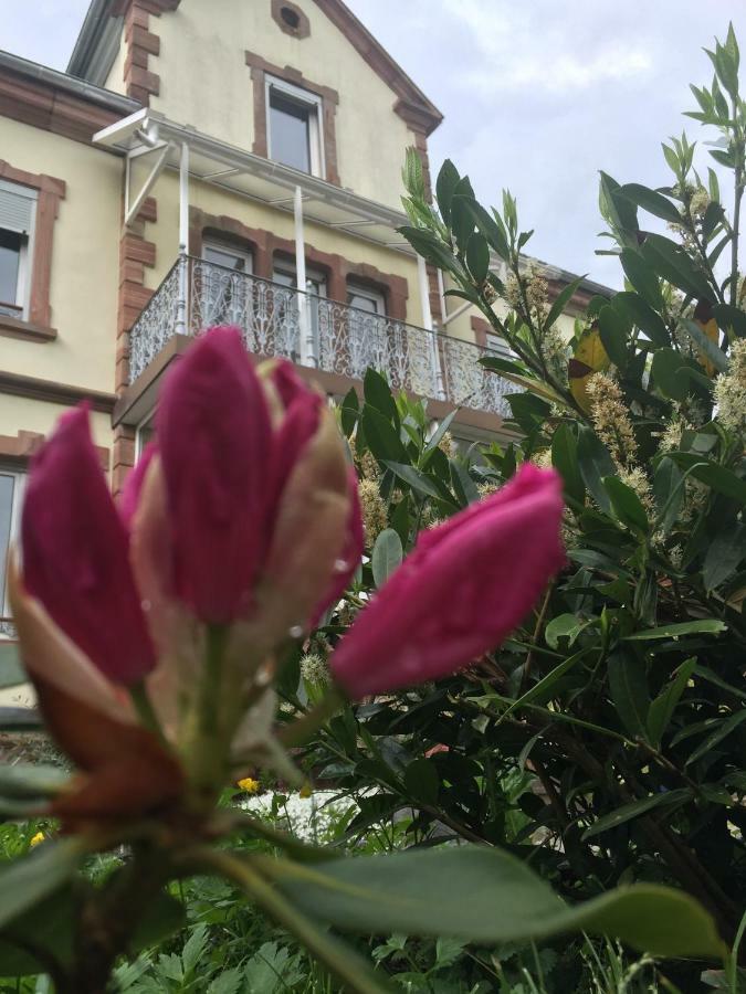 Apartamento L'Aromeantic Rothau Exterior foto